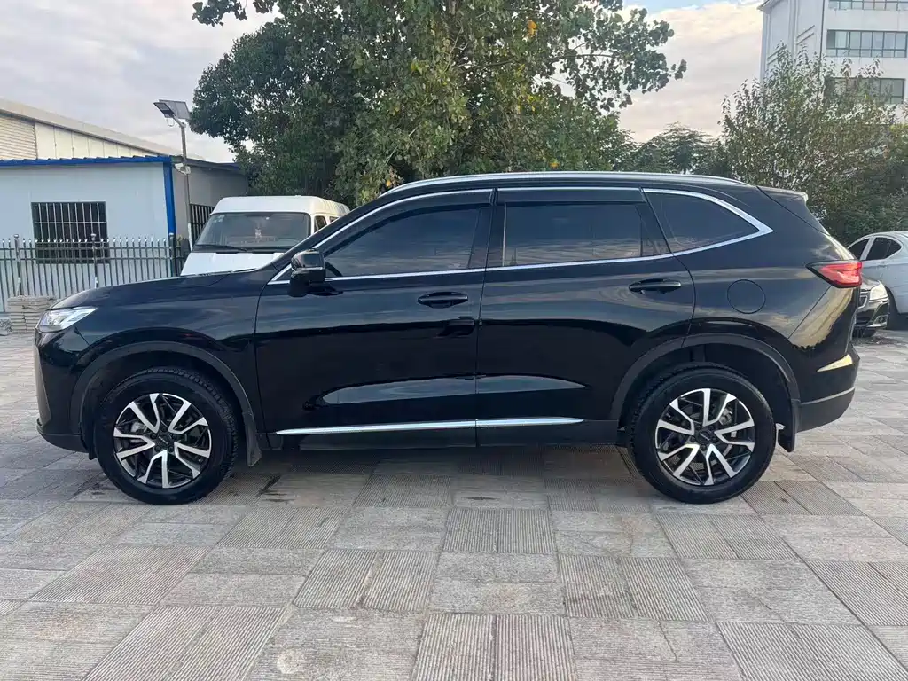 Haval H6 — миниатюра 4