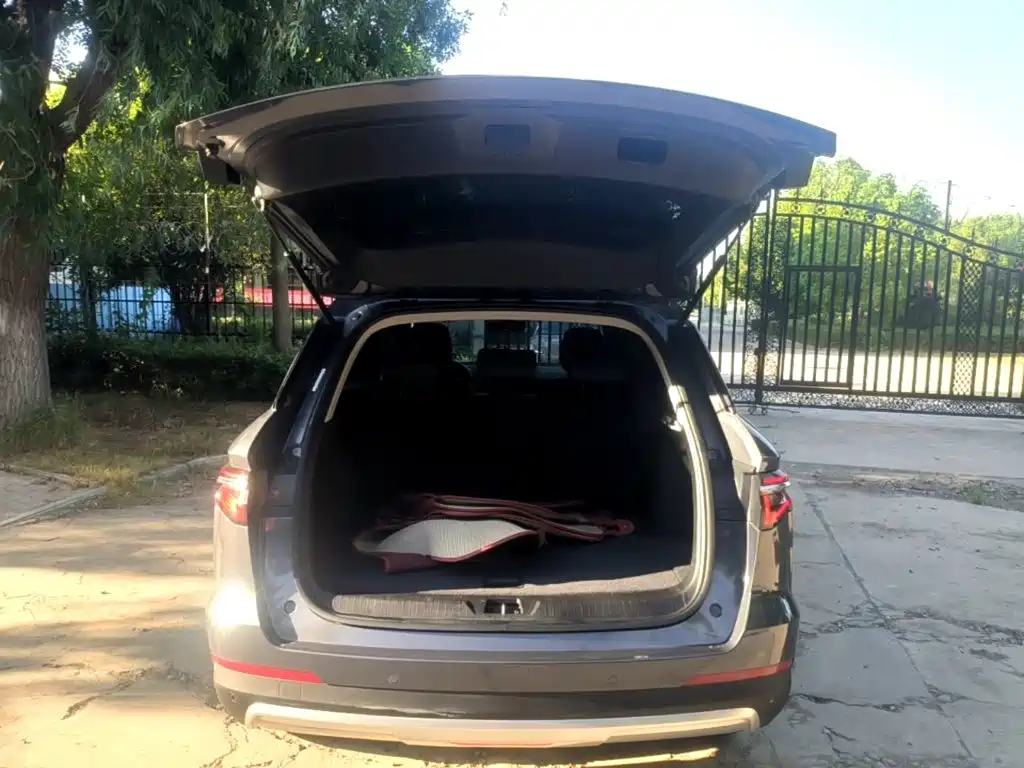 BYD Pro — миниатюра 19