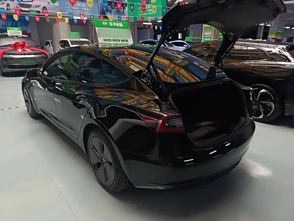 Tesla Model 3 — миниатюра 5