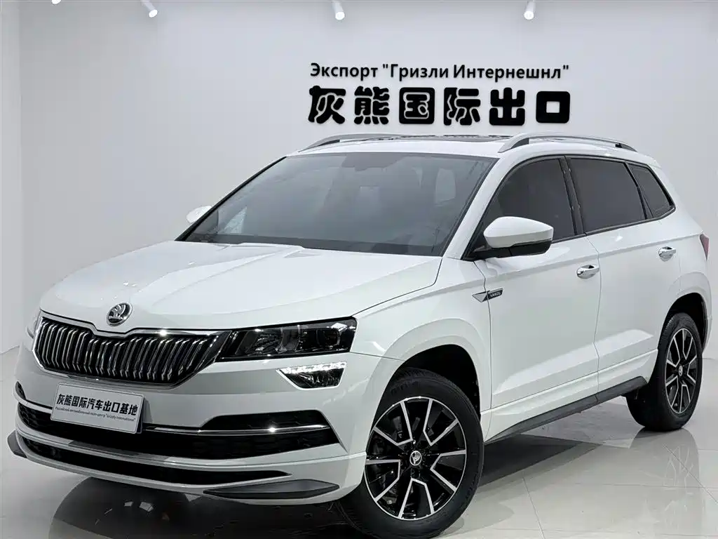 Купить Skoda Karoq