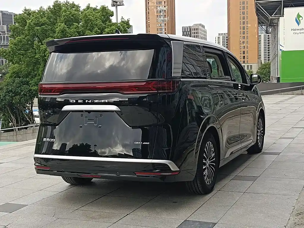 Denza Denza D9 — миниатюра 8