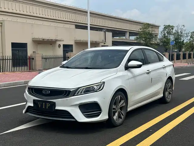 2020 Geely Binrui