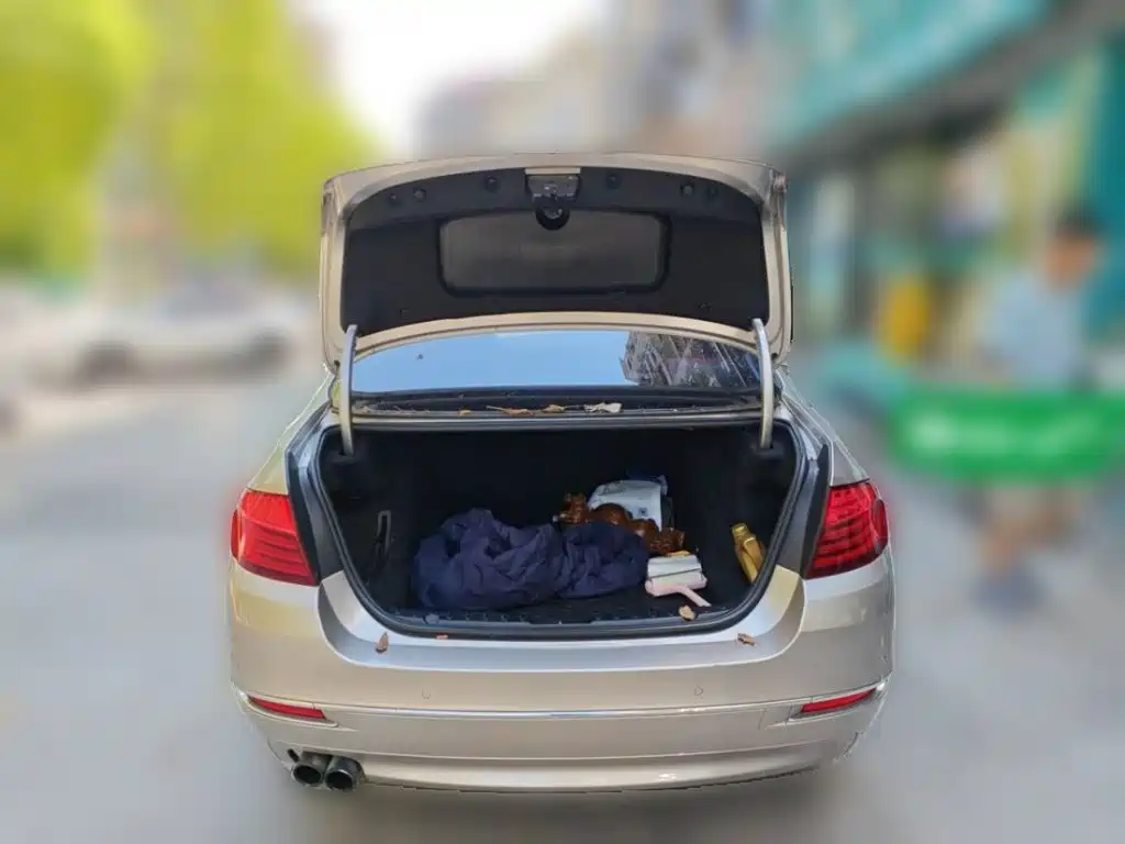 BMW 5 Series — миниатюра 15