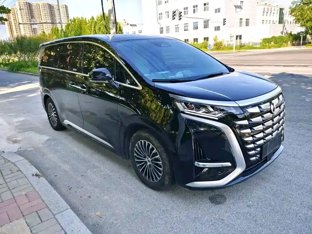 Denza Denza D9 — миниатюра 2