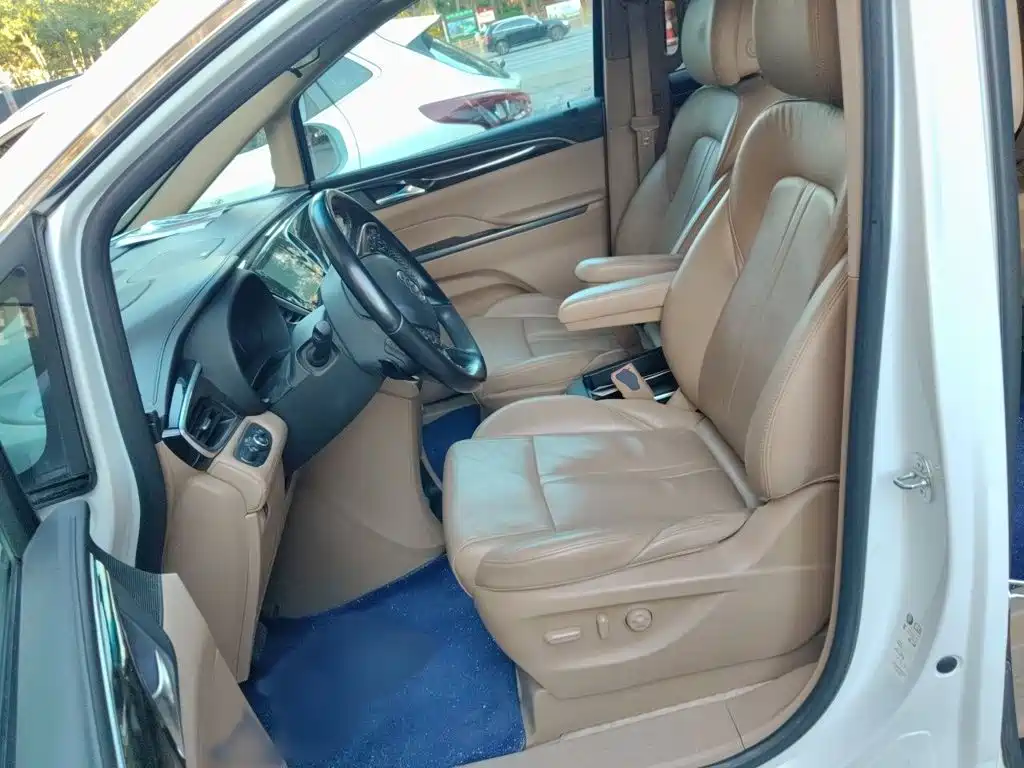 Buick GL8 — миниатюра 8