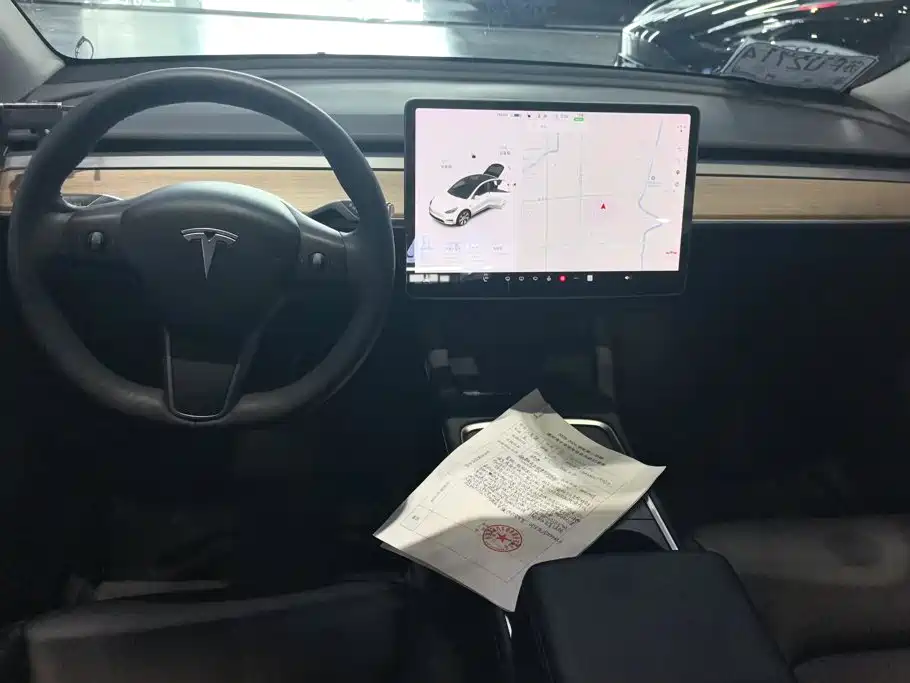 Tesla Model Y — миниатюра 12