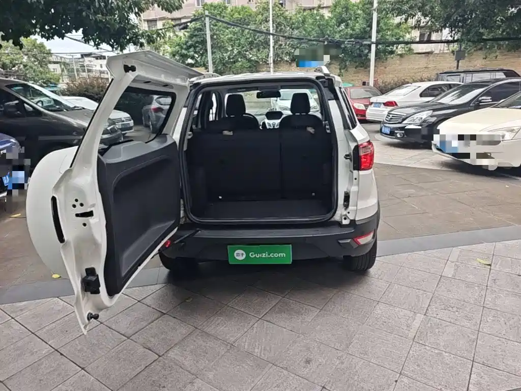 Ford Ecosport — миниатюра 19