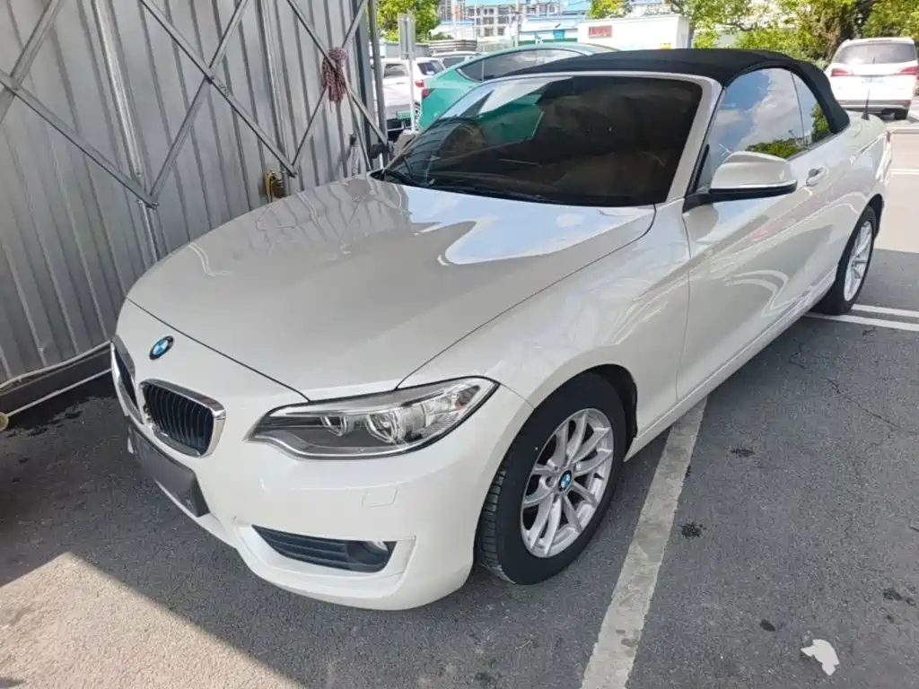 BMW 2 Series (Import)