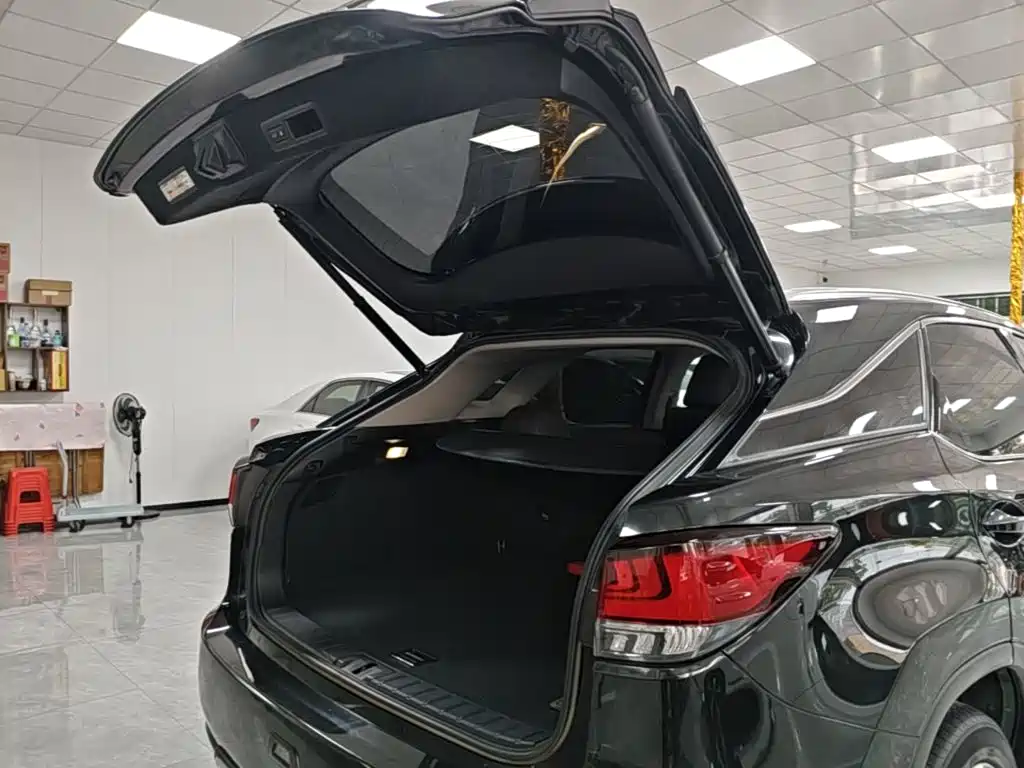 Lexus RX — миниатюра 19