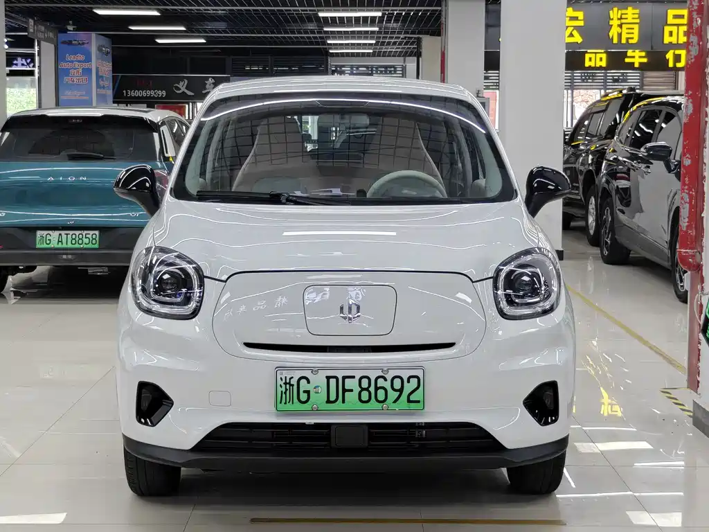Leapmotor T03 2025 310