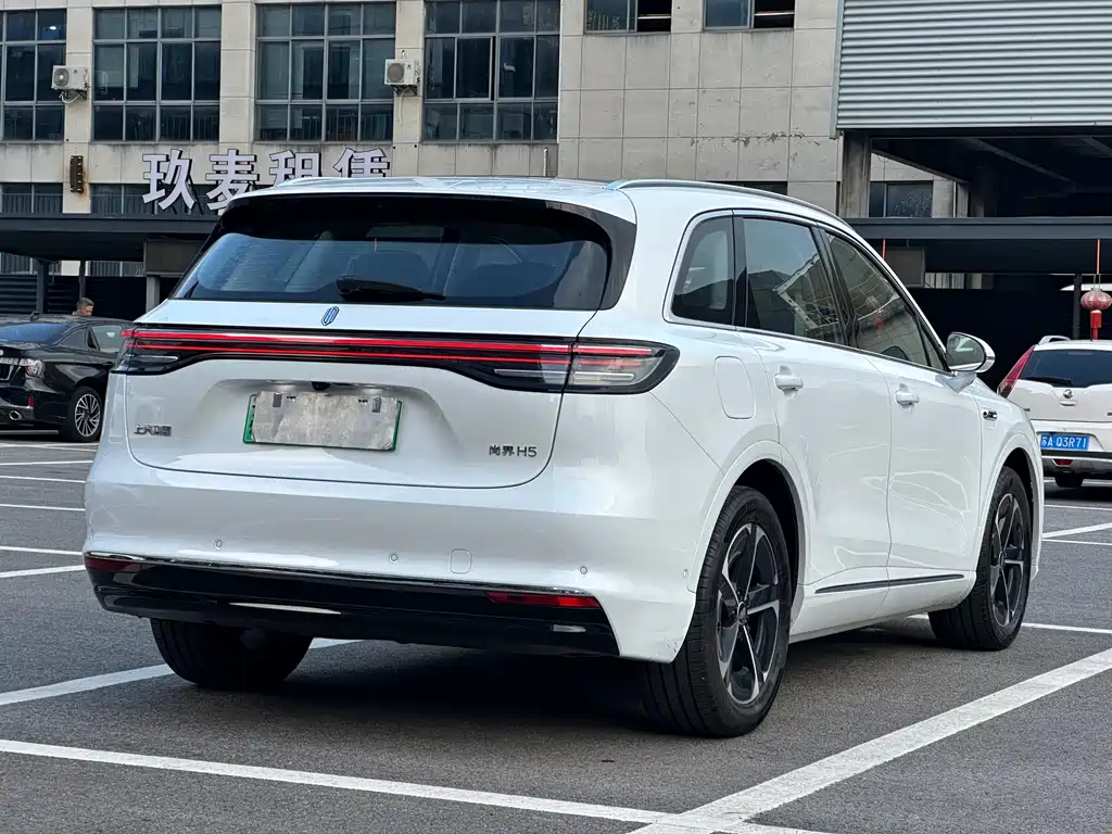 Сангтан Sangtang H5 — миниатюра 7