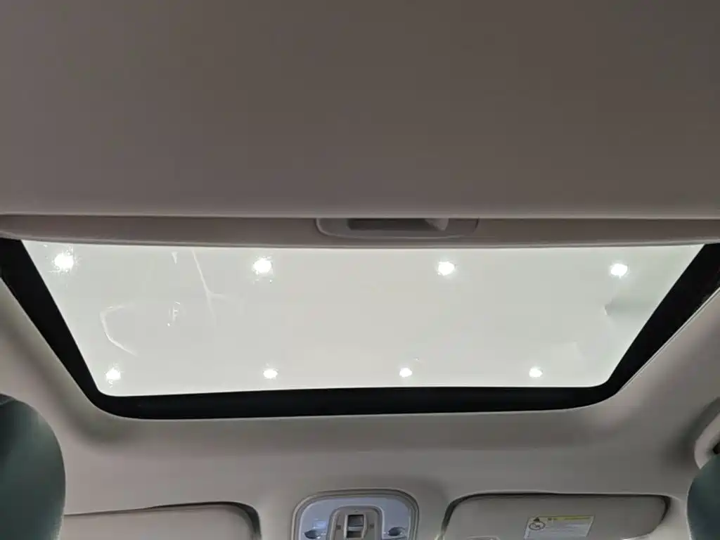 BYD MAX — миниатюра 18