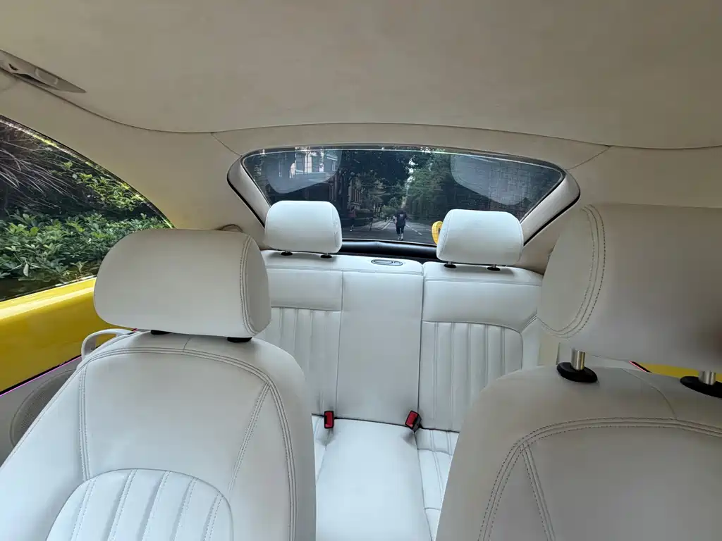 Volkswagen Beetle — миниатюра 13