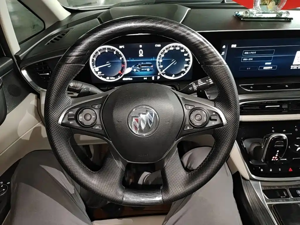 Buick GL8 — миниатюра 11