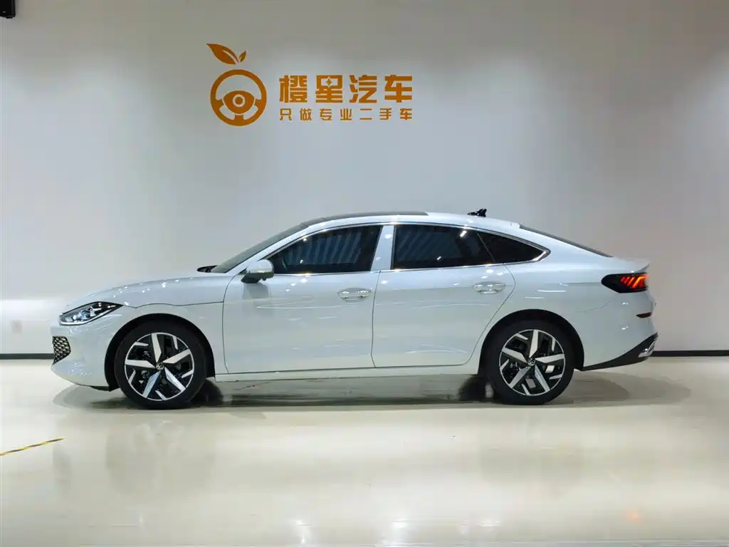 Volkswagen Lamando — миниатюра 3