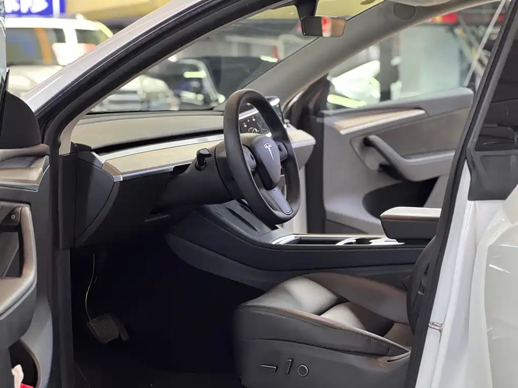 Tesla Model Y — миниатюра 11