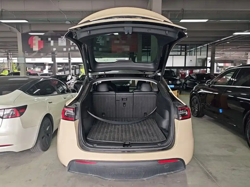 Tesla Model Y — миниатюра 19