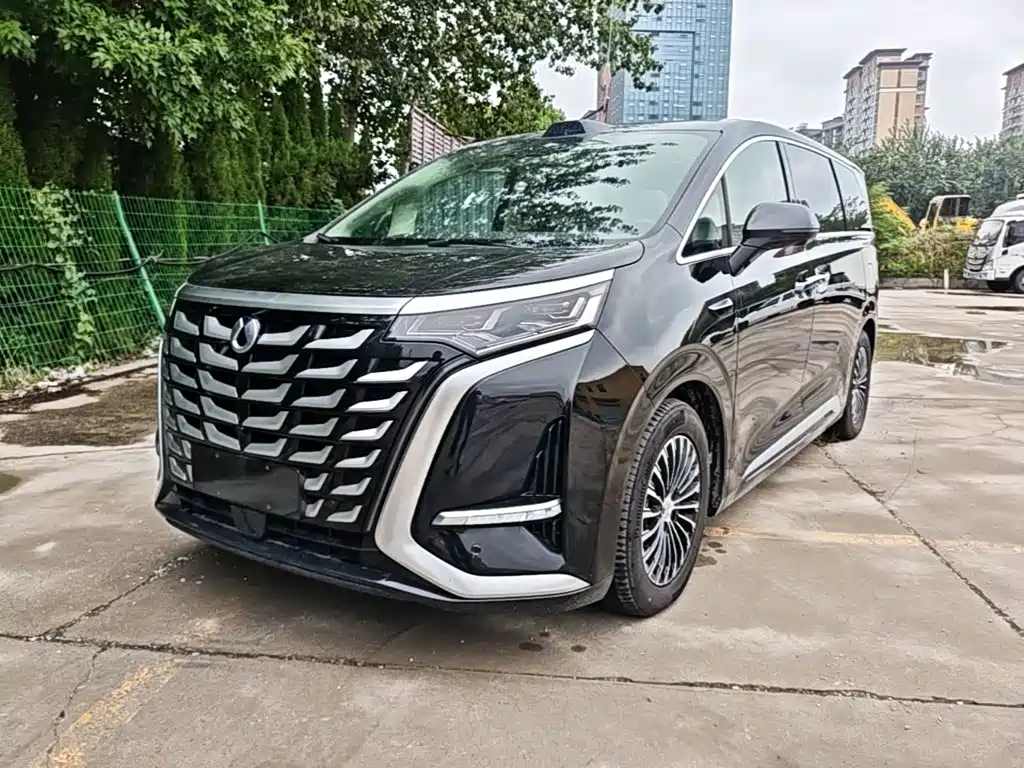 Denza Denza D9 — миниатюра 2