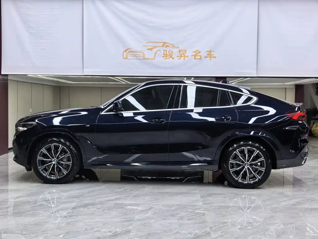 BMW X6 — миниатюра 7