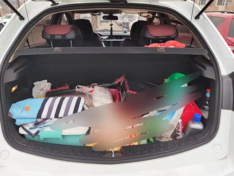 GEELY AUTOMOBILE VISION X3