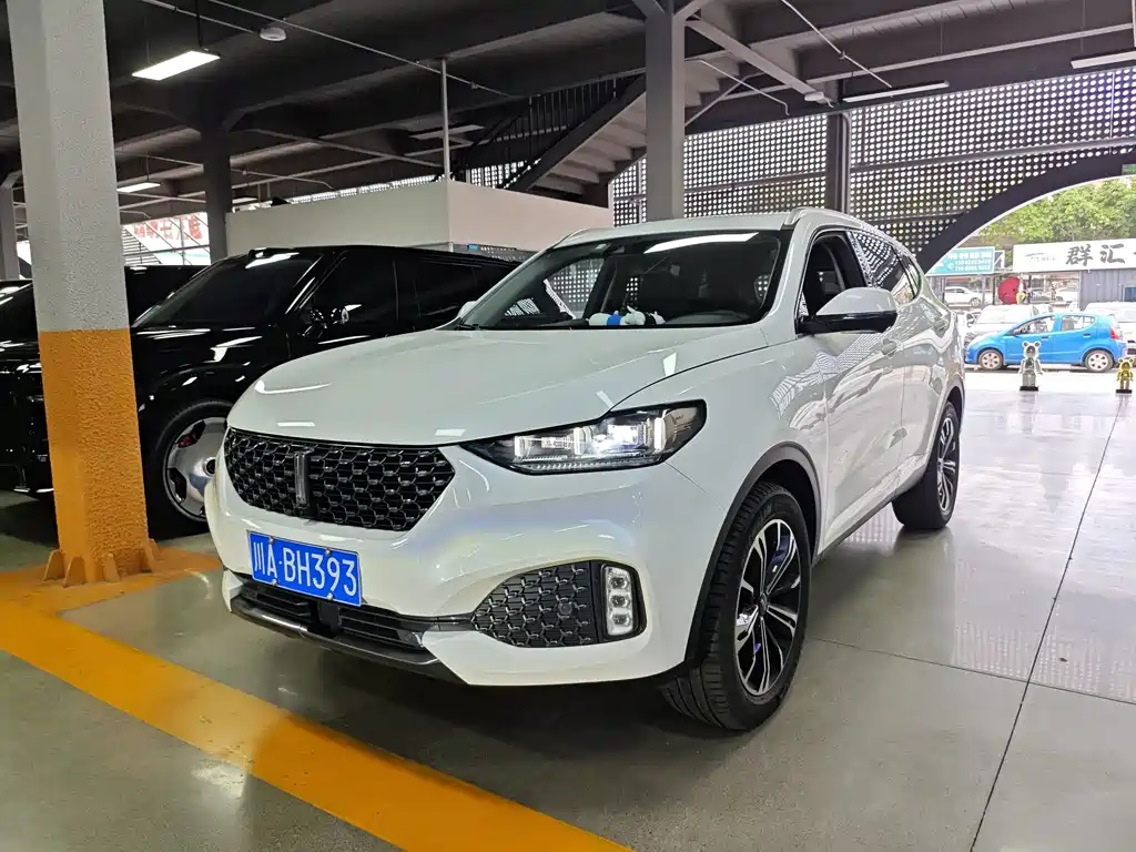 Wey Wey VV6