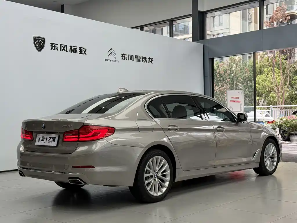 BMW 5 Series — миниатюра 5