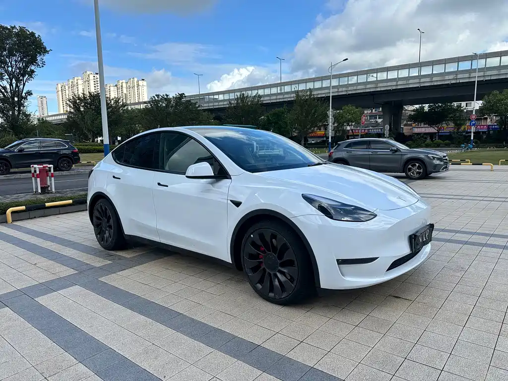 Tesla Model Y — миниатюра 2