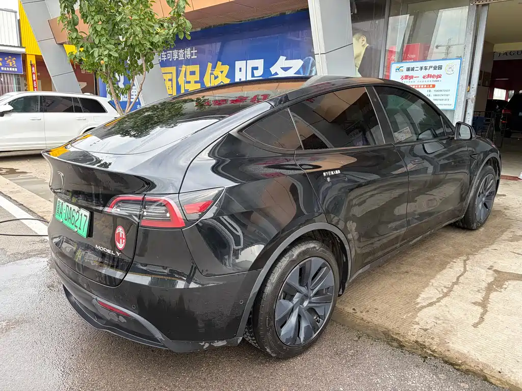 Tesla Model Y — миниатюра 4