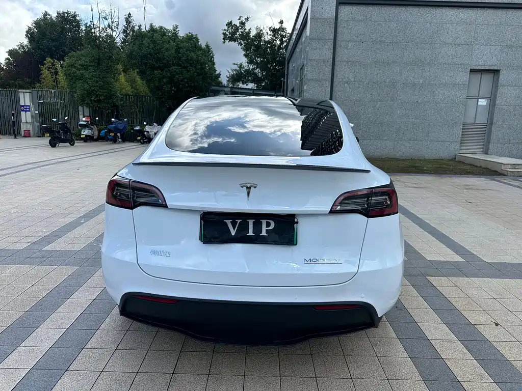 Tesla Model Y — миниатюра 12