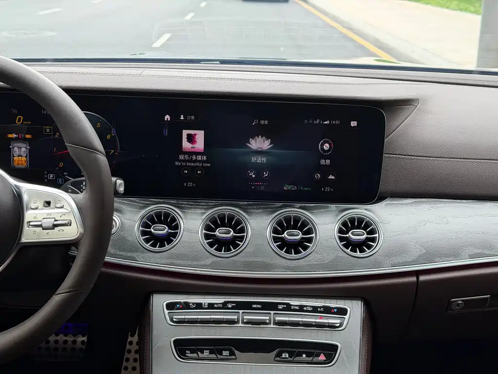 Mercedes-Benz CLS 2021 CLS 300 Luxury