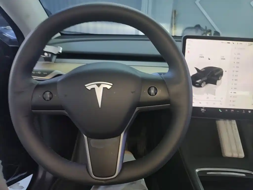 Tesla Model Y — миниатюра 11