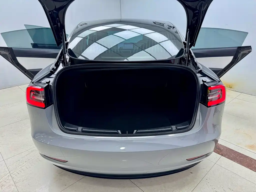 Tesla Model 3 — миниатюра 21