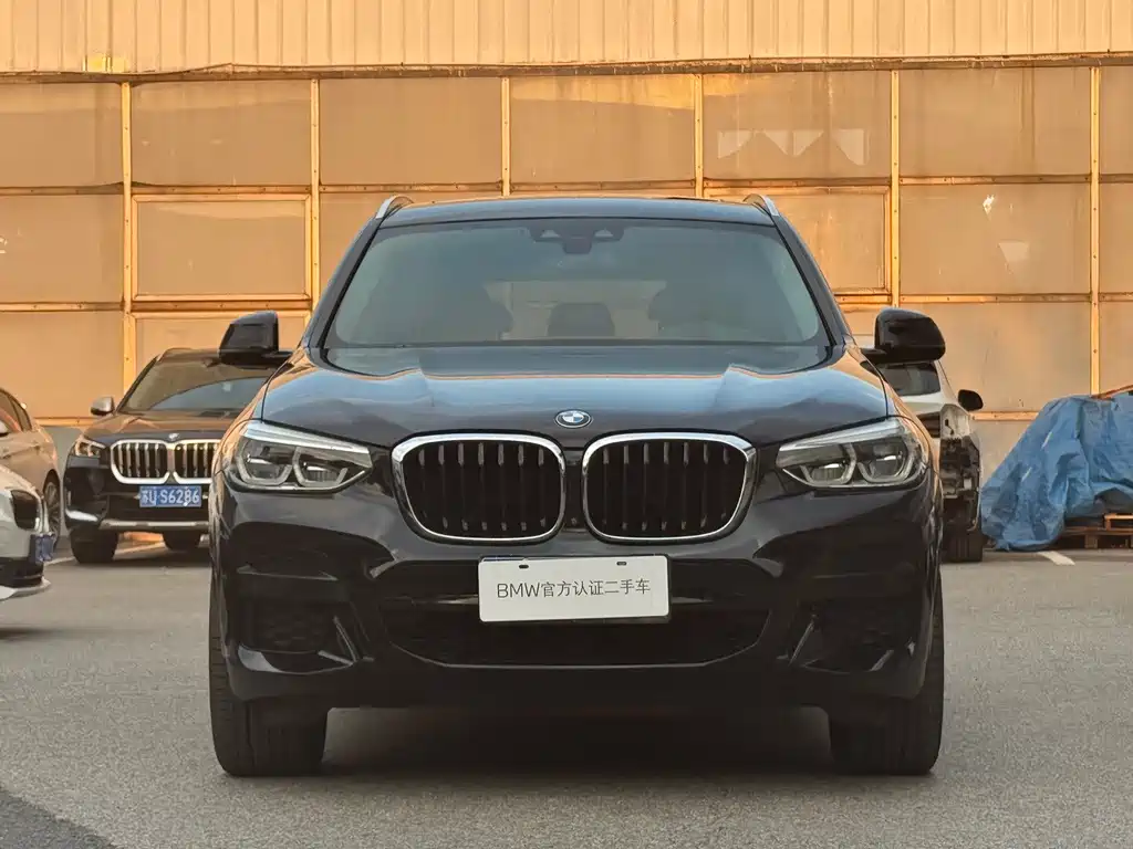 BMW X3 — миниатюра 2