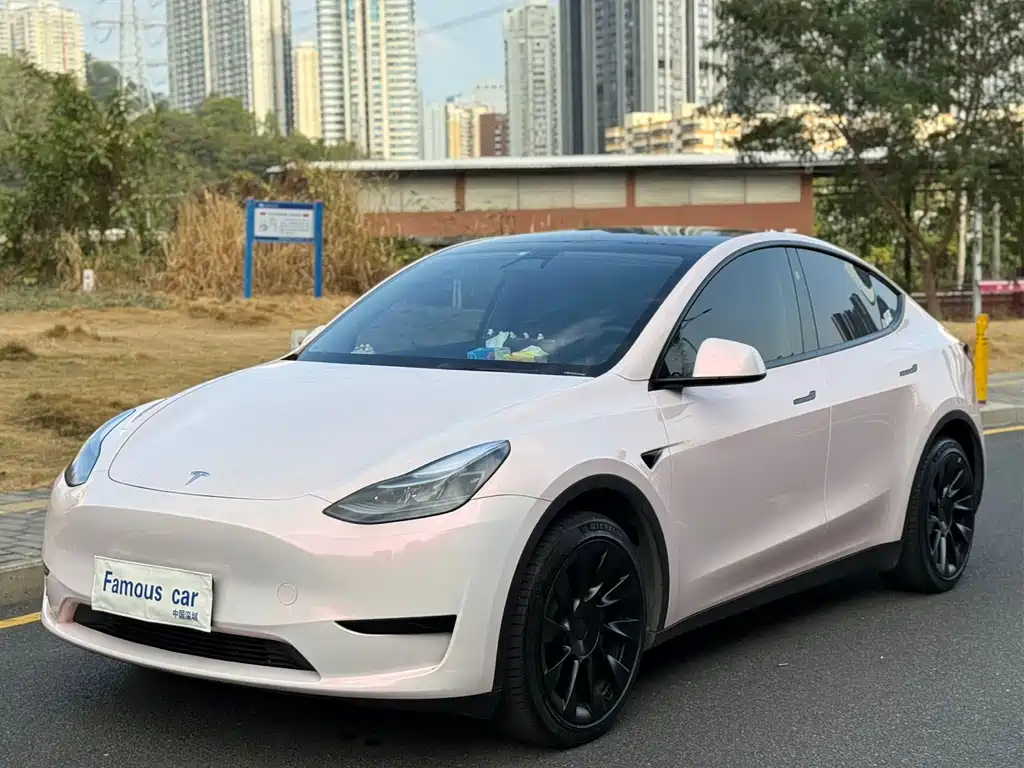 TESLA MODEL Y