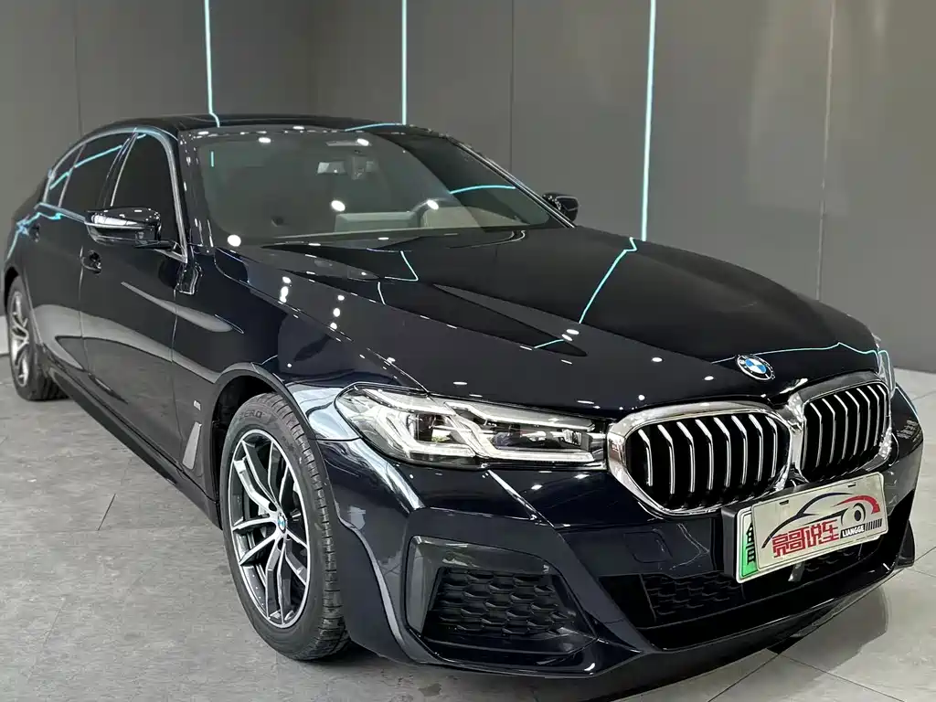 BMW 5 Series New Energy — миниатюра 3