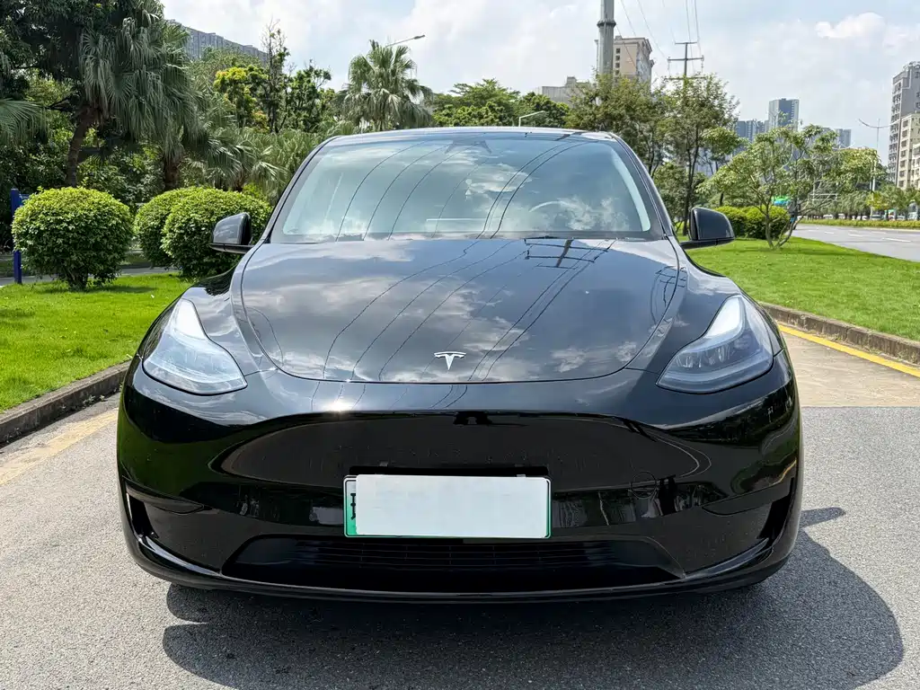 Tesla Model Y — миниатюра 2