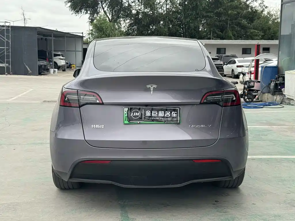 Tesla Model Y — миниатюра 9