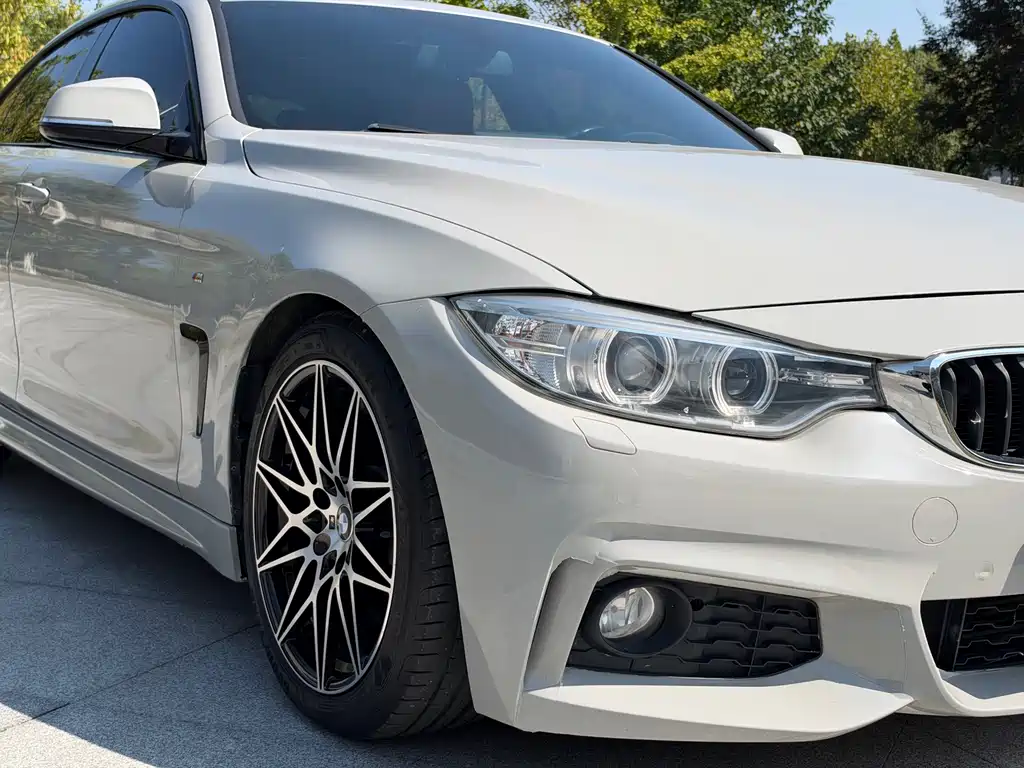 BMW 4 Series — миниатюра 4