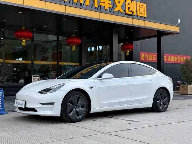 TESLA MODEL 3 2019