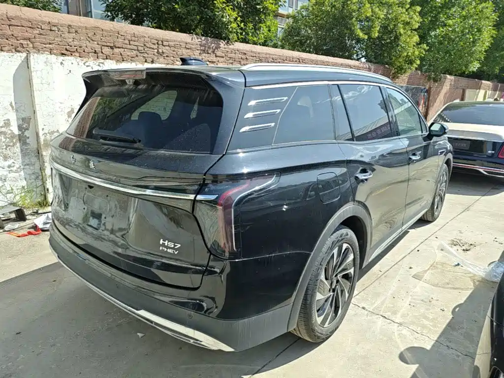 Hongqi Hongqi HS7 PHEV — миниатюра 7