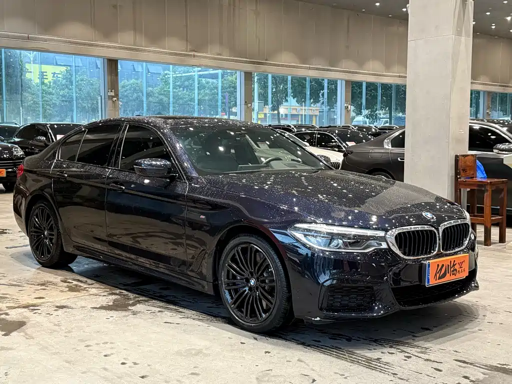 BMW 5 SERIES