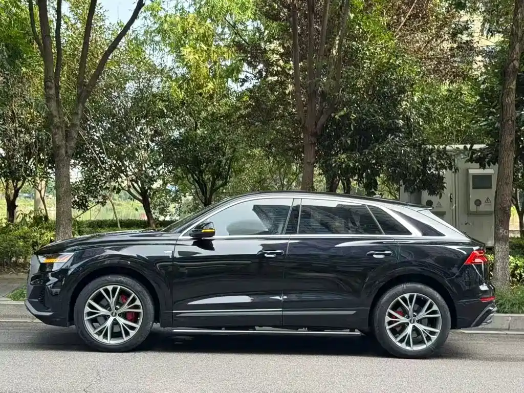 Audi Q8 — миниатюра 6