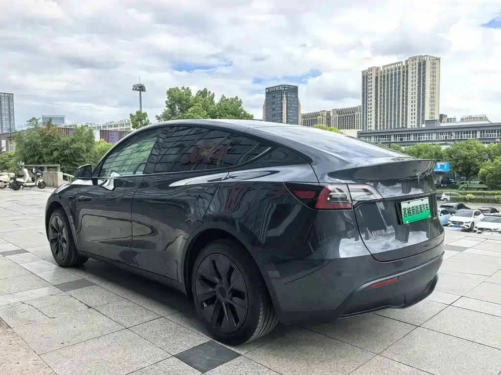 Tesla Model Y — миниатюра 11