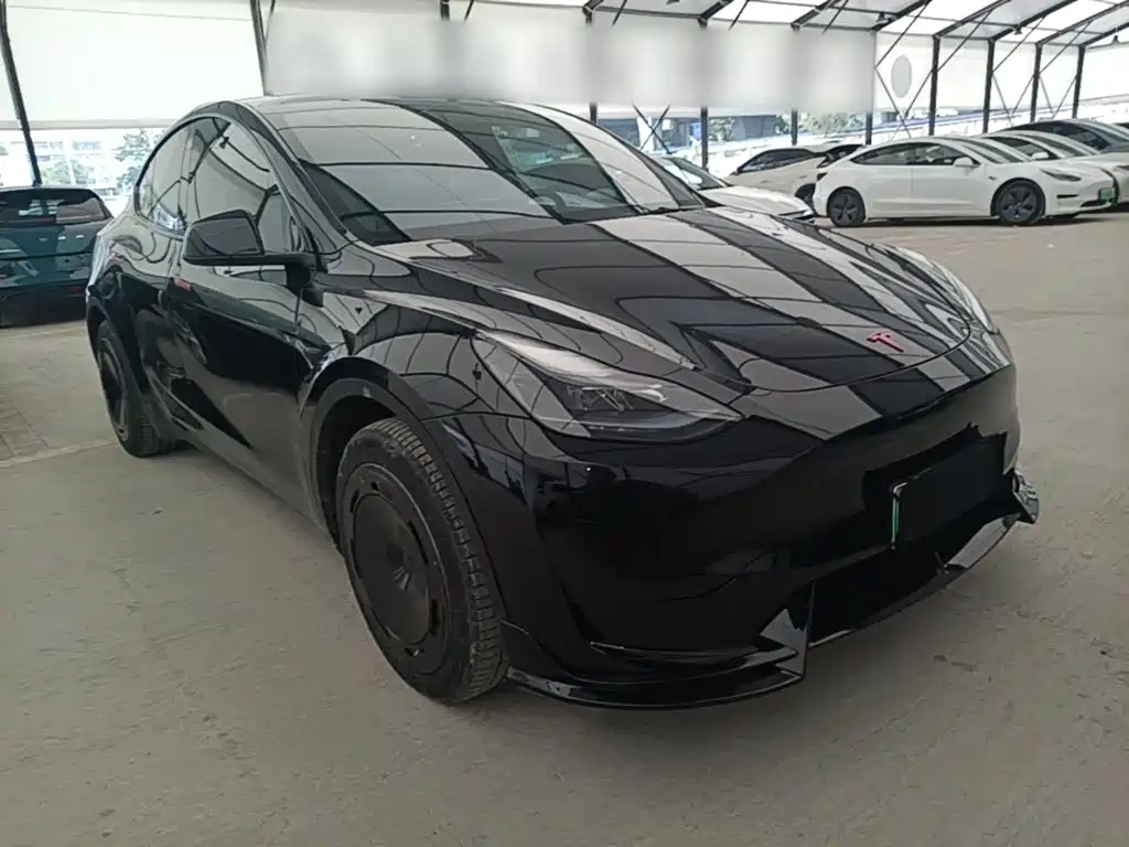 Tesla Model Y — миниатюра 4