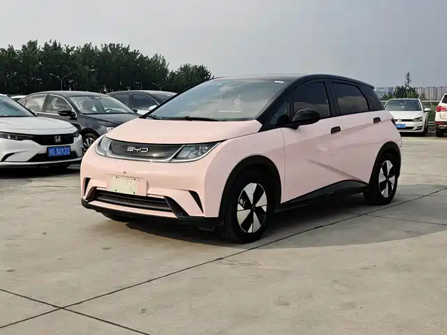 2024 BYD Dolphin
