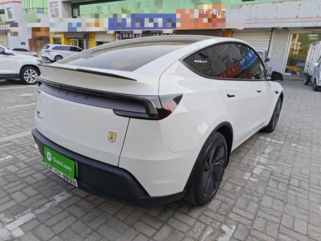 Tesla Model Y — миниатюра 5