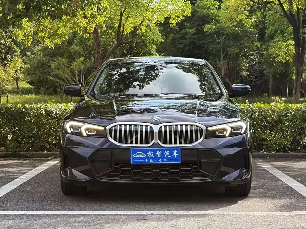 BMW 3 Series 320Li M Sport Package, фото 2