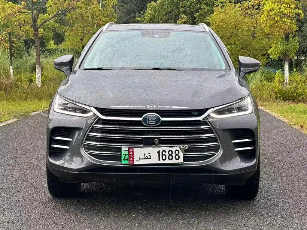 BYD Tang New Energy — миниатюра 2