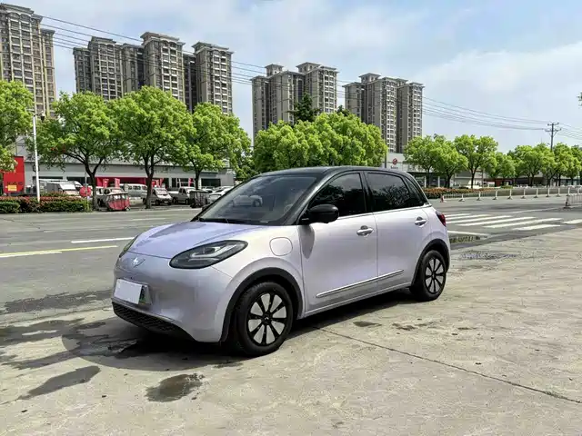 2025 Wuling Motors Binguo