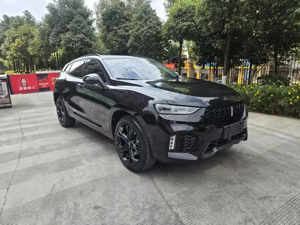 WEI PAI WEI BRAND VV7